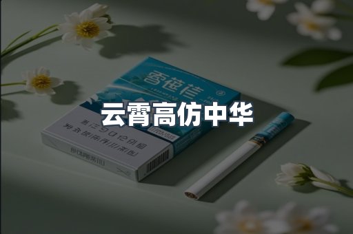 云霄高仿中华